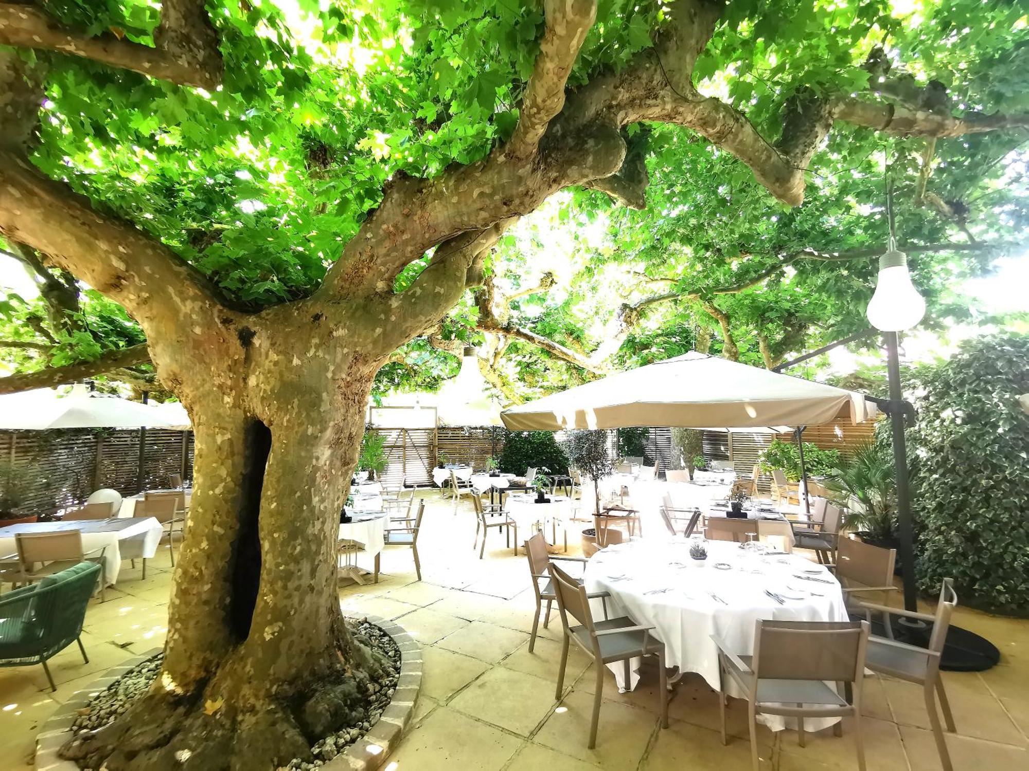 Logis Hotel - Restaurant Maison Claude Darroze Langon  Luaran gambar
